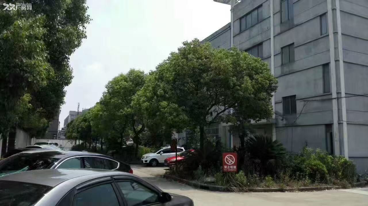 独门独院，单层1000，大房东直租 - 2
