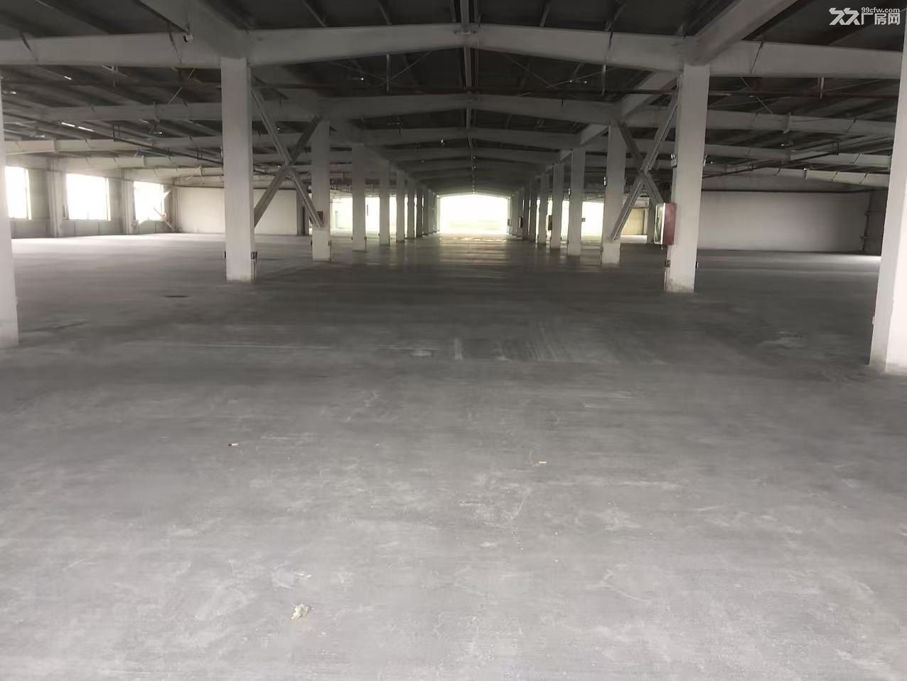 徐州贾汪 创业路46000㎡ 钢结构厂房出售 独院 有蒸汽 可环评 有产权证 - 5