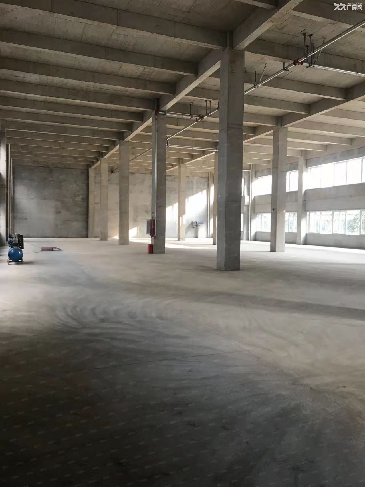 标准厂房,700-6000平,首付低,可按揭,国土50年产权 - 4