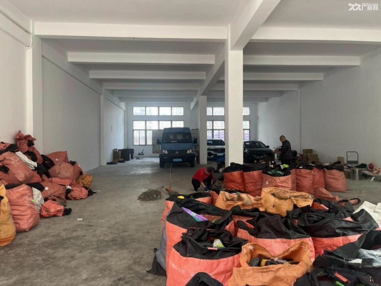 房东直租:普陀一楼245平适合贸易电商服装食品电子设备组装仓储冷库 - 3