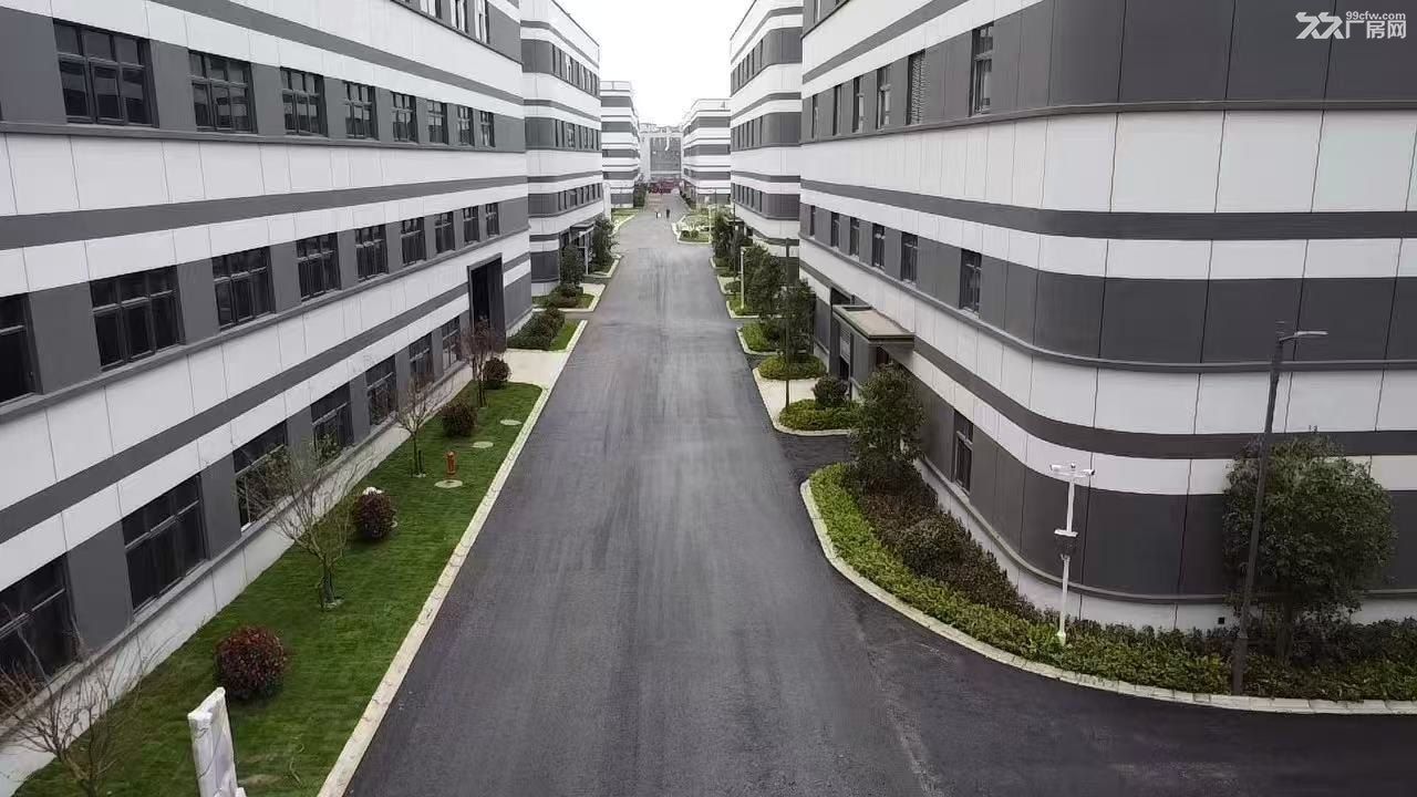 朝阳路旁边全新国土厂房出售 - 3