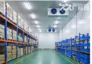青岛胶州食品类标准厂房对外出租，紧邻青岛胶东国际机场交通便利，位置优越，配套齐全 - 4