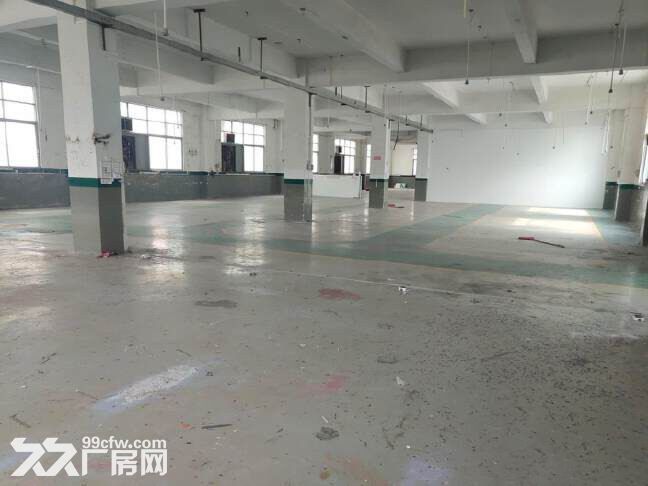 白云人和东华工业区独院厂房出租，可分租，可办环评，适合化妆品 食品 印刷 - 4