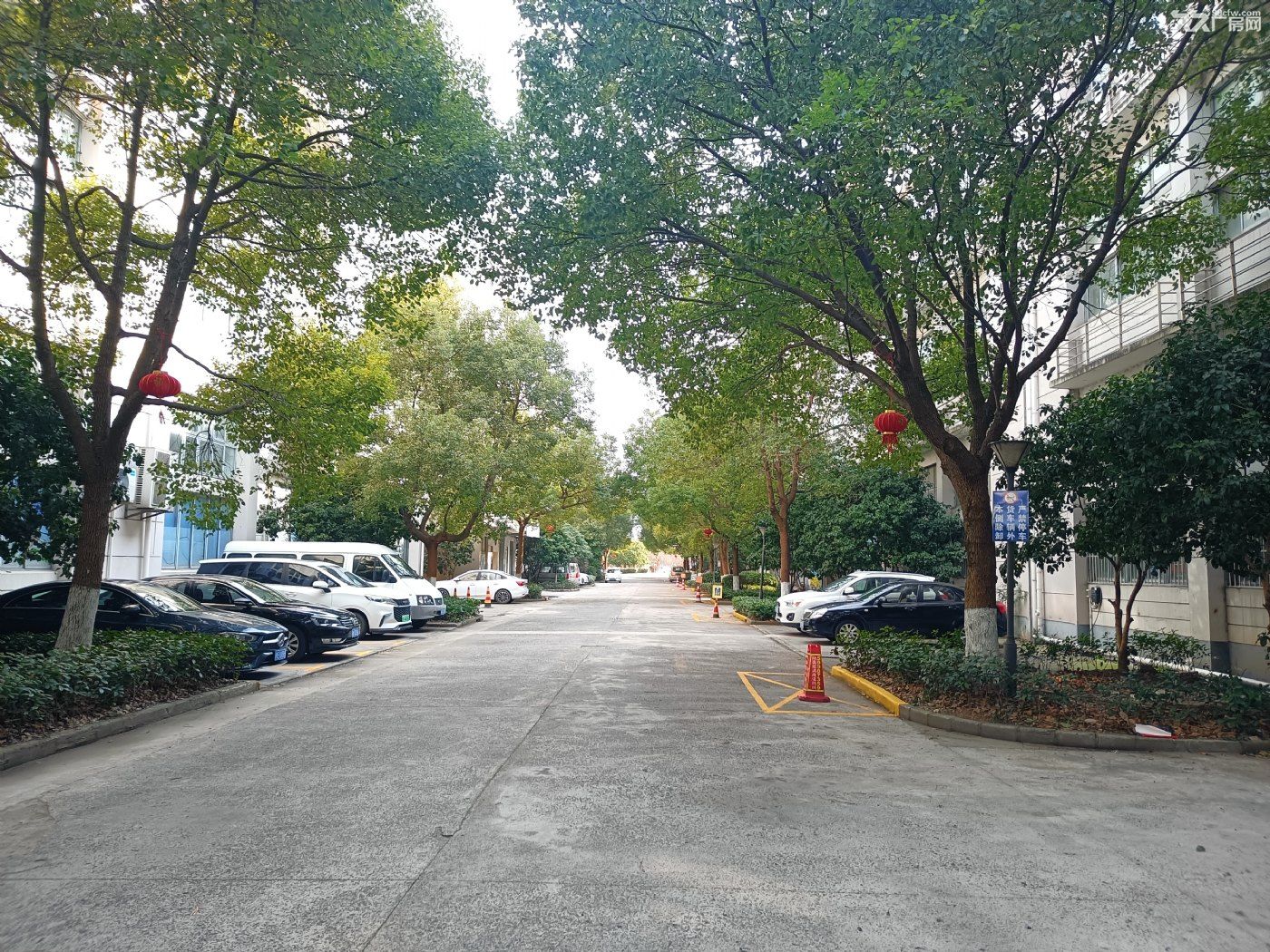 川沙川宏路699号标准厂房出租 - 8