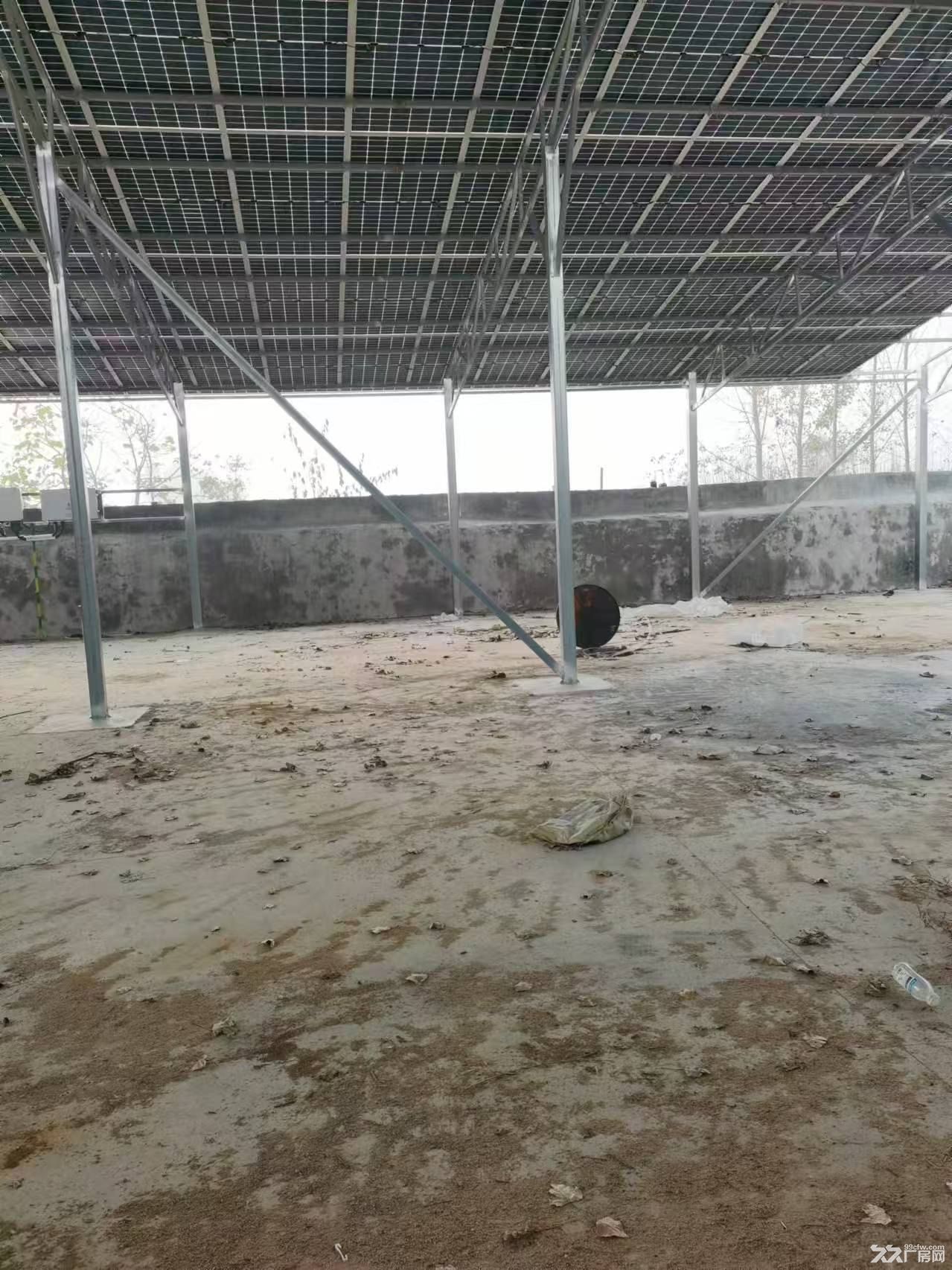 厂房出租，独门独院，有自己独立的变压器，有机井和自来水 - 3