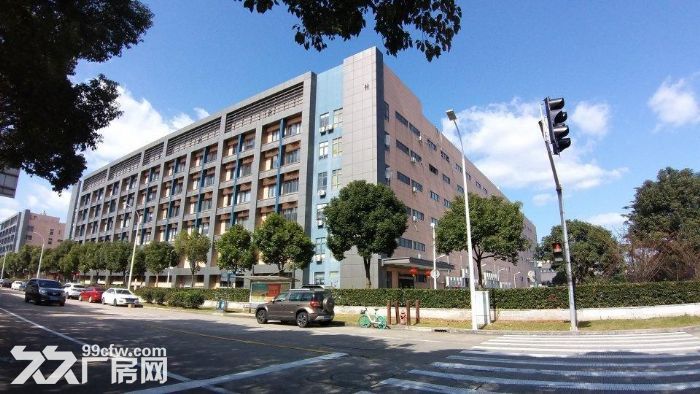 外高桥海关旁,高规格标准仓储,整层招租,可申请保税仓库 - 2