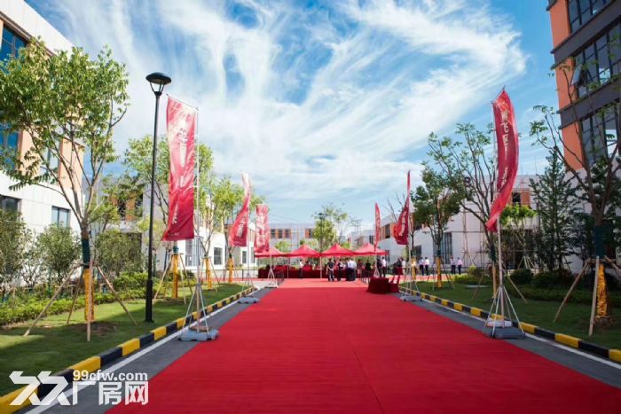 巴南国际生物城 50年产权独栋框架结构出售 低首付 可贷款十年