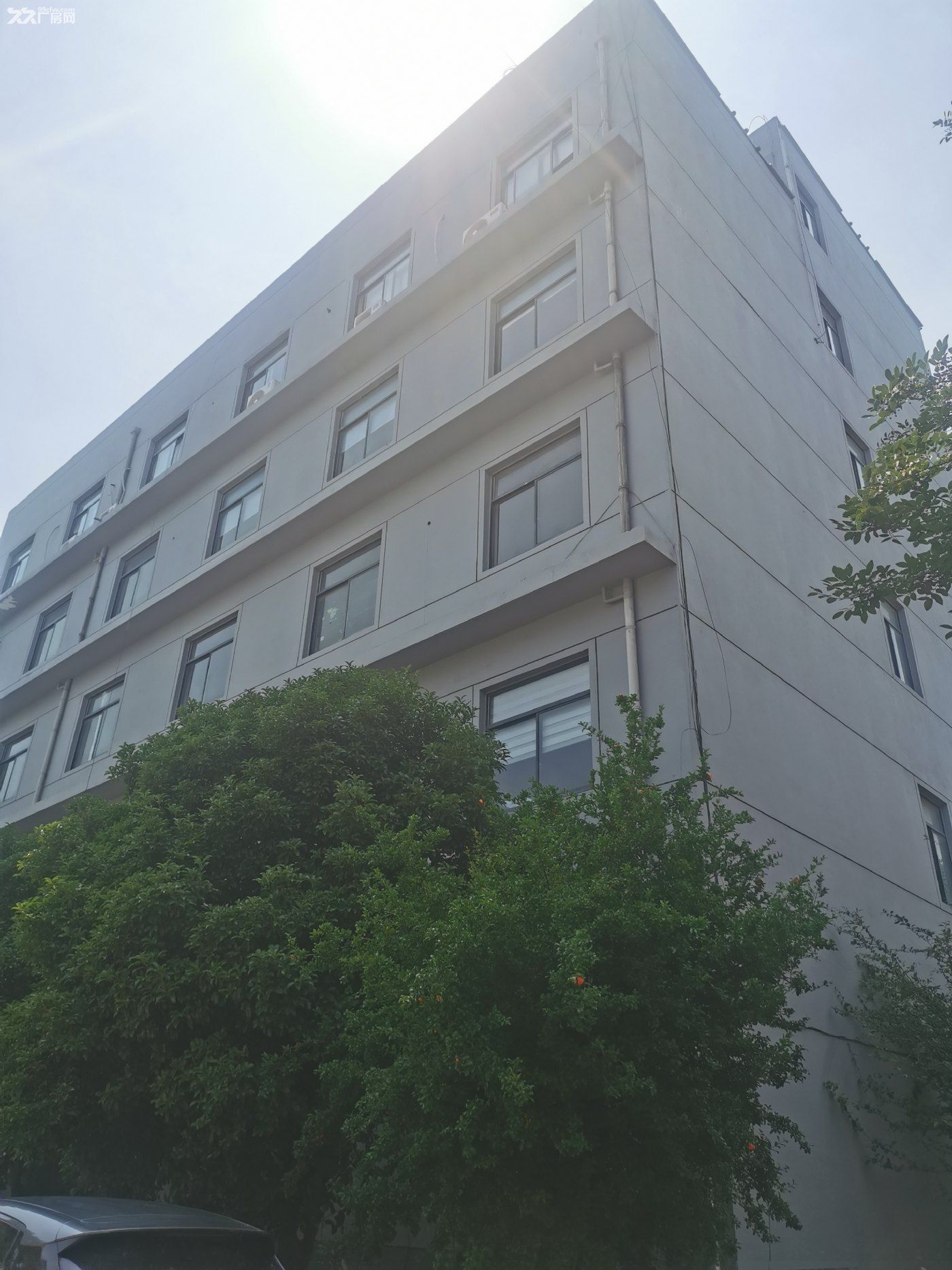 办公楼,带有电梯,整层出租 - 7