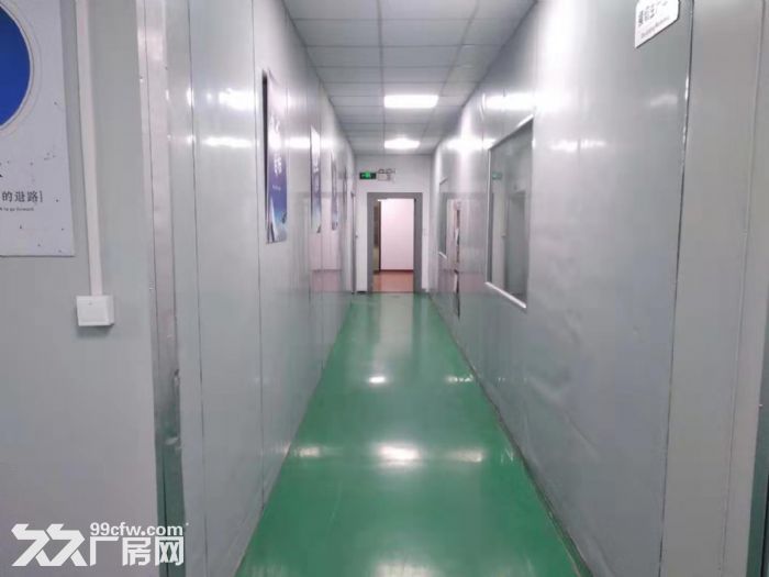 AA唯亭三楼1000平标准厂房 精装修 靠近公交站 价优 - 8