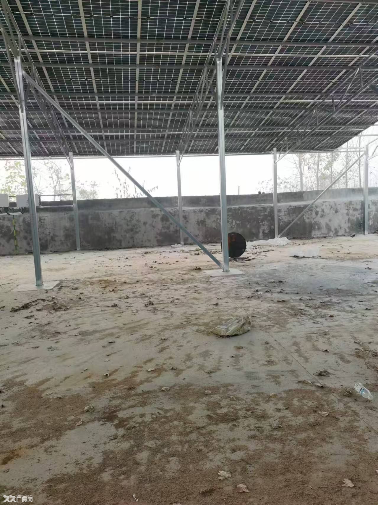 厂房出租车间700多平方米,独门独院,有独立变压器,有自来水,园还有还有机井打水 - 4