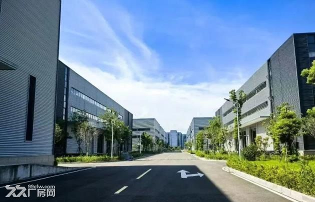 浦东临港新片区4万平单层厂房出租,多栋可分租