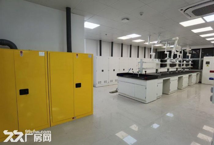 金桥104板块 有环评 可研发 小试,中试等实验室 检测等 - 6