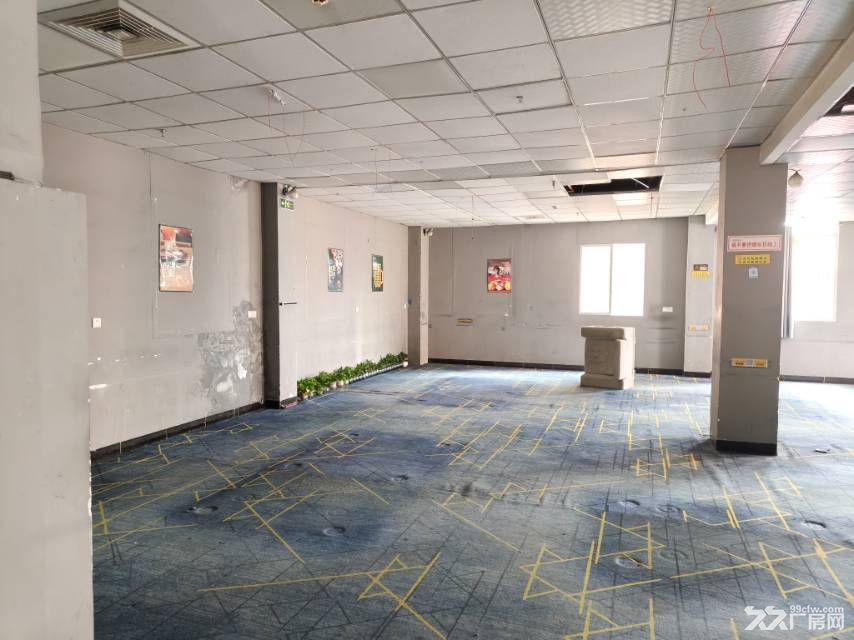 杏林村夜市附近自建房 2 楼出租 - 4