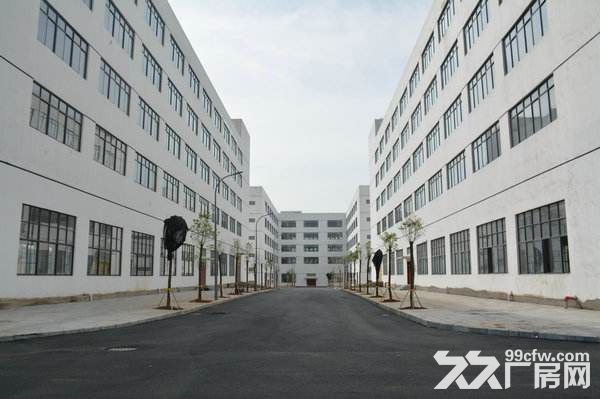 杏林工业区独门独院25000平招租，大小可分割