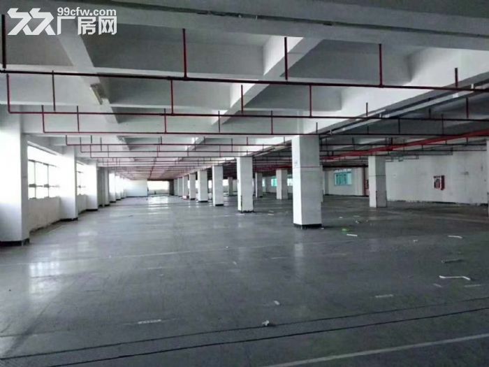 南山西丽民企科技园单层2200平办公厂房直租无行业限制 - 4