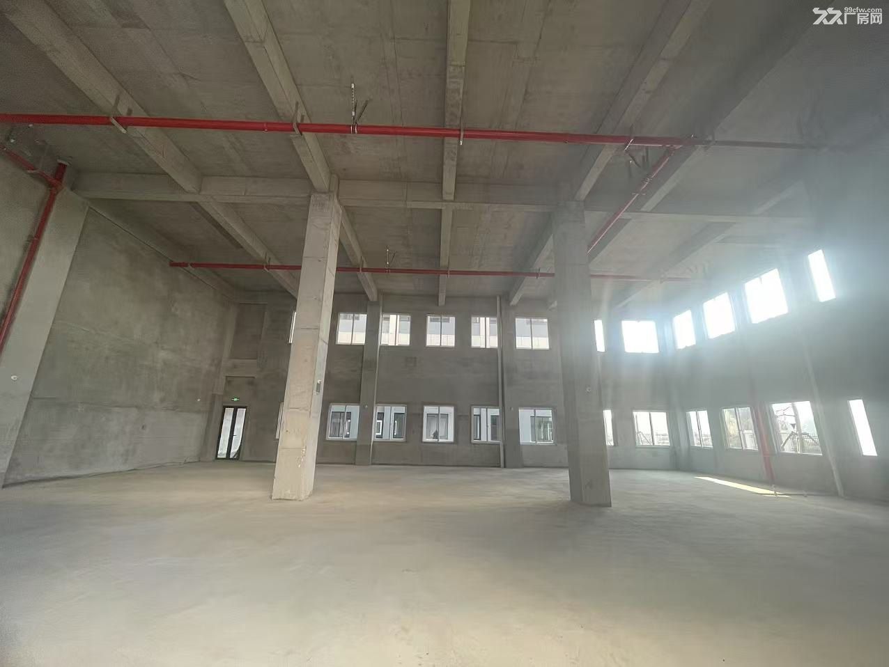 现房招商 即买即用 50年独立产权 自有物业 首付两成 快速路旁 - 8