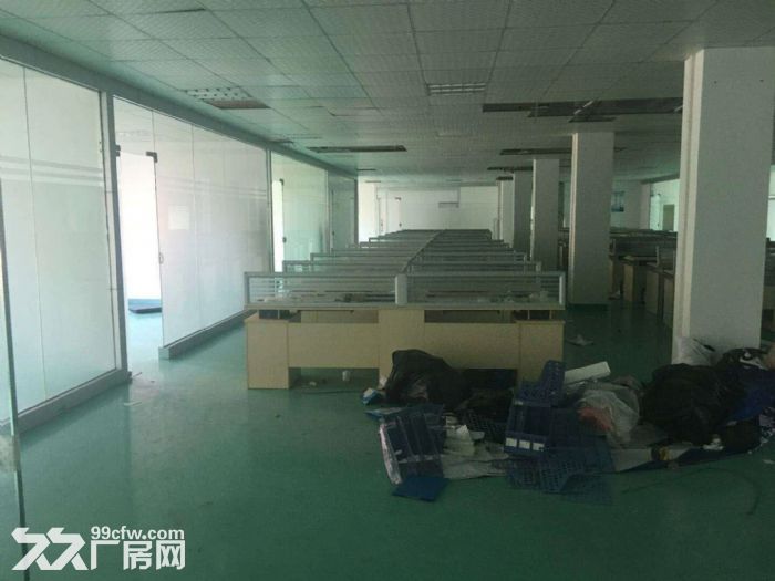 龙岗龙西独门独院新装厂房招租 - 2