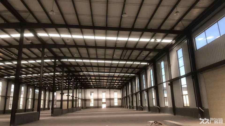 济宁新建单层厂房出售首付低分期无利息 - 4
