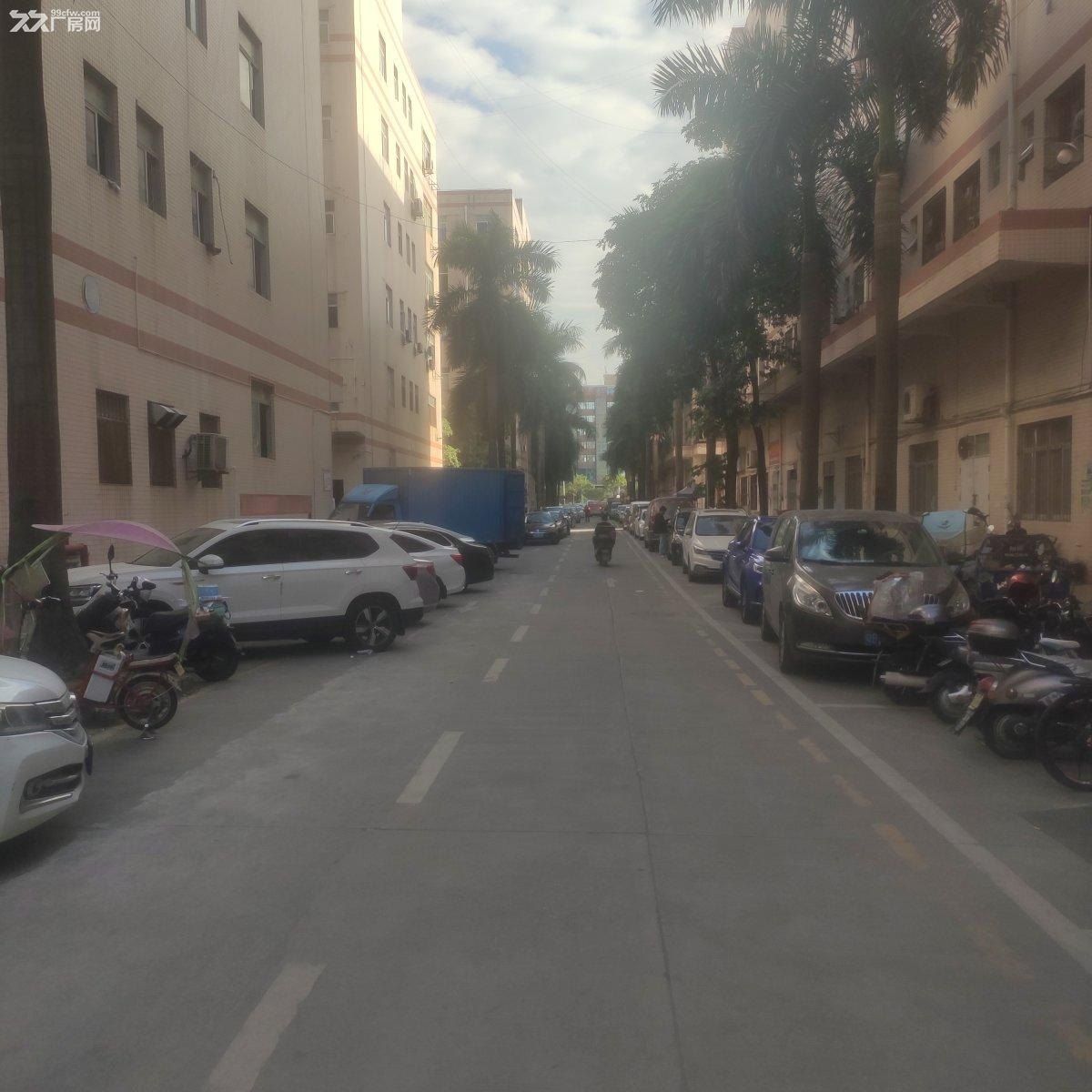 固戍地铁附近原房东工业园厂房精装修配套设施齐全可办环评 - 4