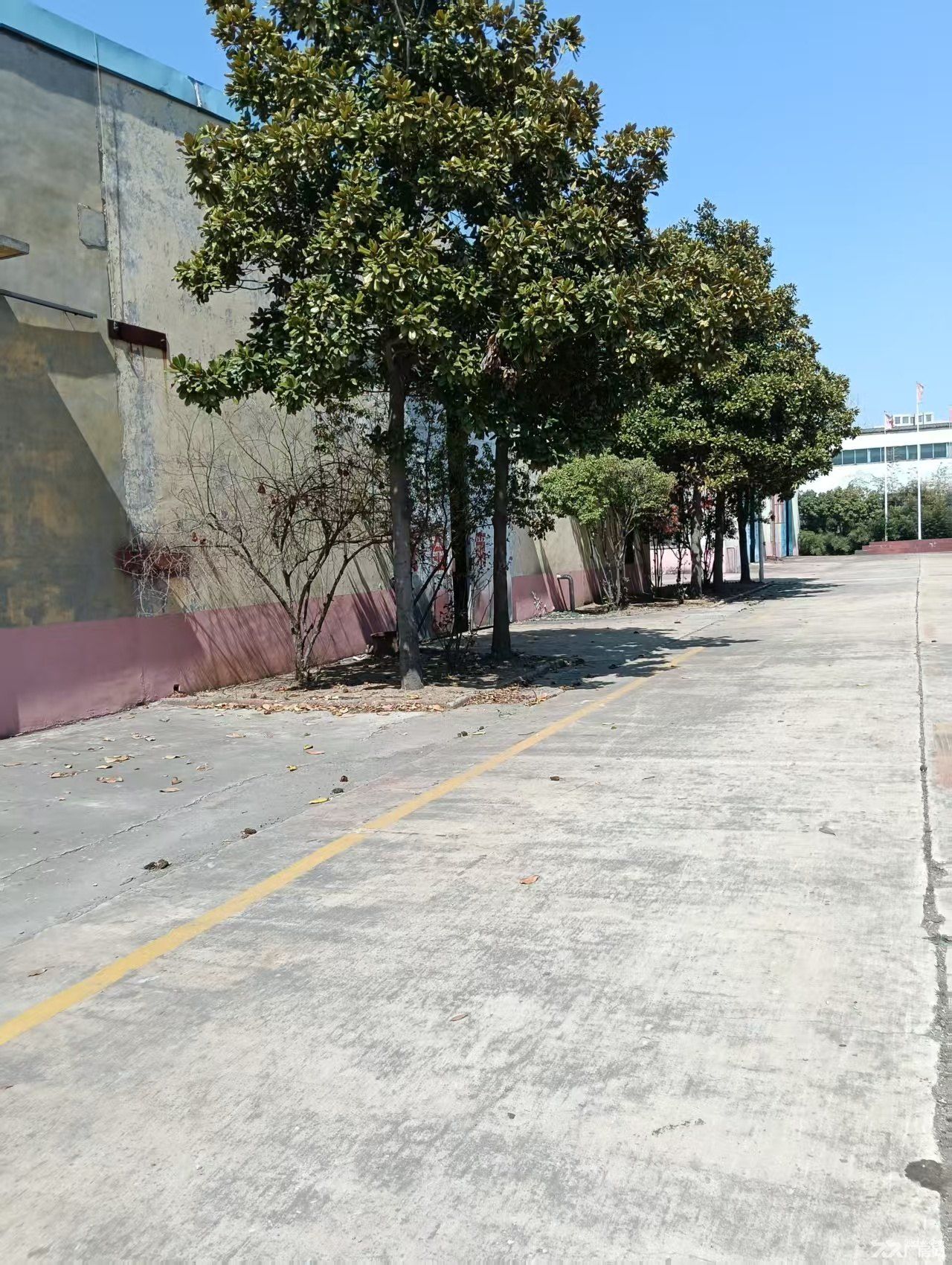 厂房、办公楼出租，独院，带行车，水电齐全，交通方便 - 6