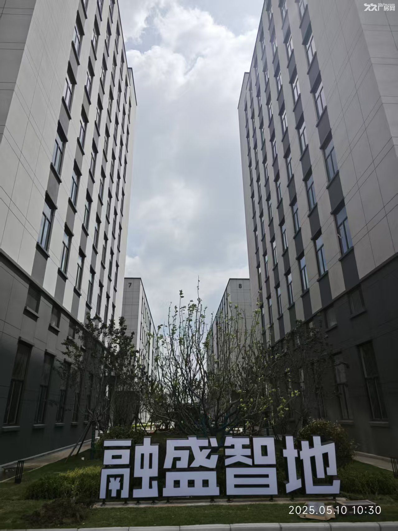 江宁区总部大楼 可生产办公研发 一楼七米八 首付30% 可按揭10年