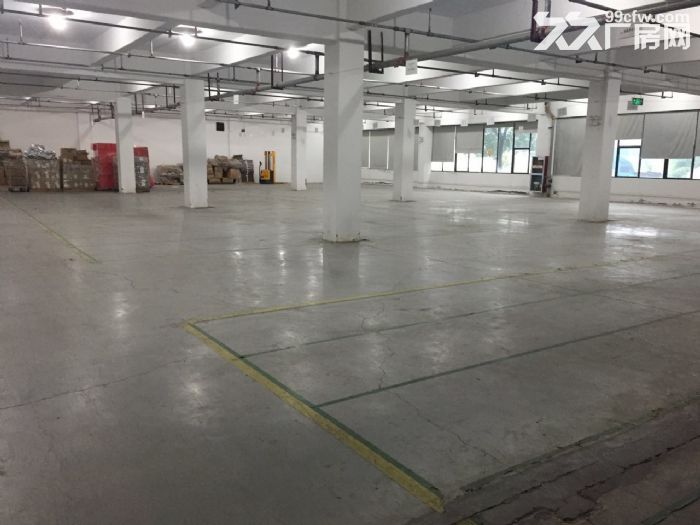 滨文路一楼1200方,层高6米,适合展厅摄影科技类 - 4