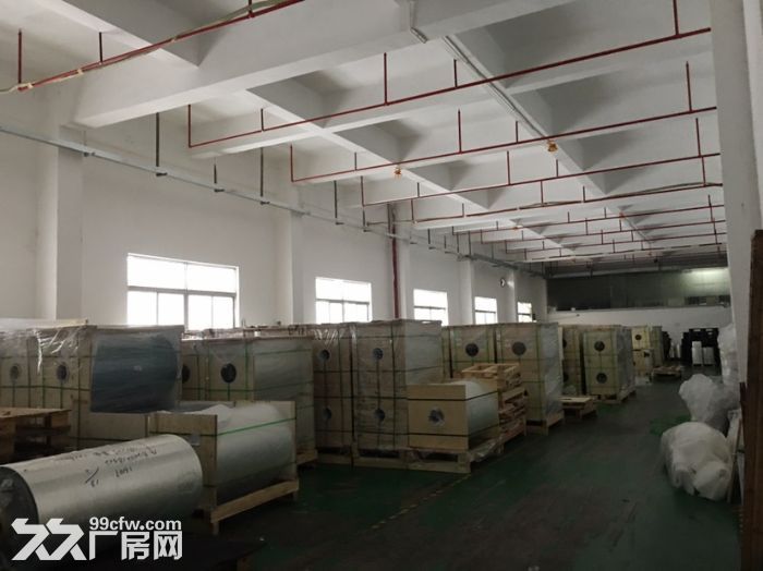 仲恺惠环工业园一楼厂房出租4000平,高6米,带无尘车间 - 7