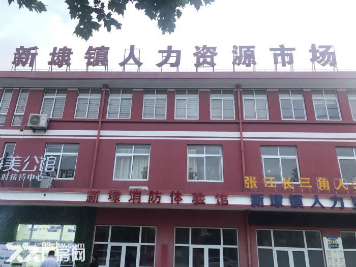 环沪独栋标准厂房首付两成为您的企业安个家50年产权可环评可注册 - 3