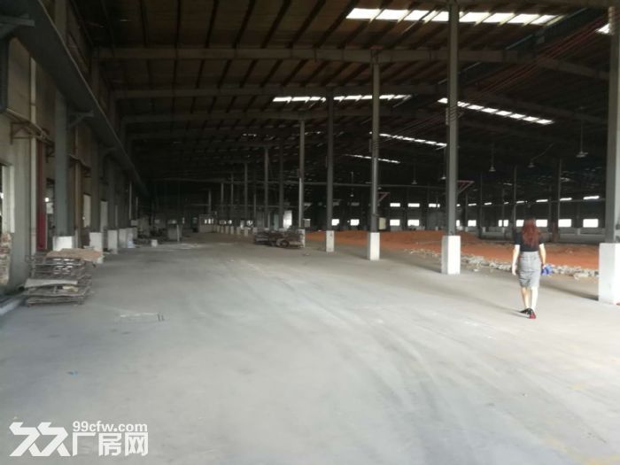 新会大泽可做任何重工业、喷粉，压铸！红木家具！5万平方工业园分租 - 5