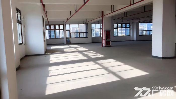 向阳路104园区高标准的研发、展厅仓库 办公轻加工 - 2