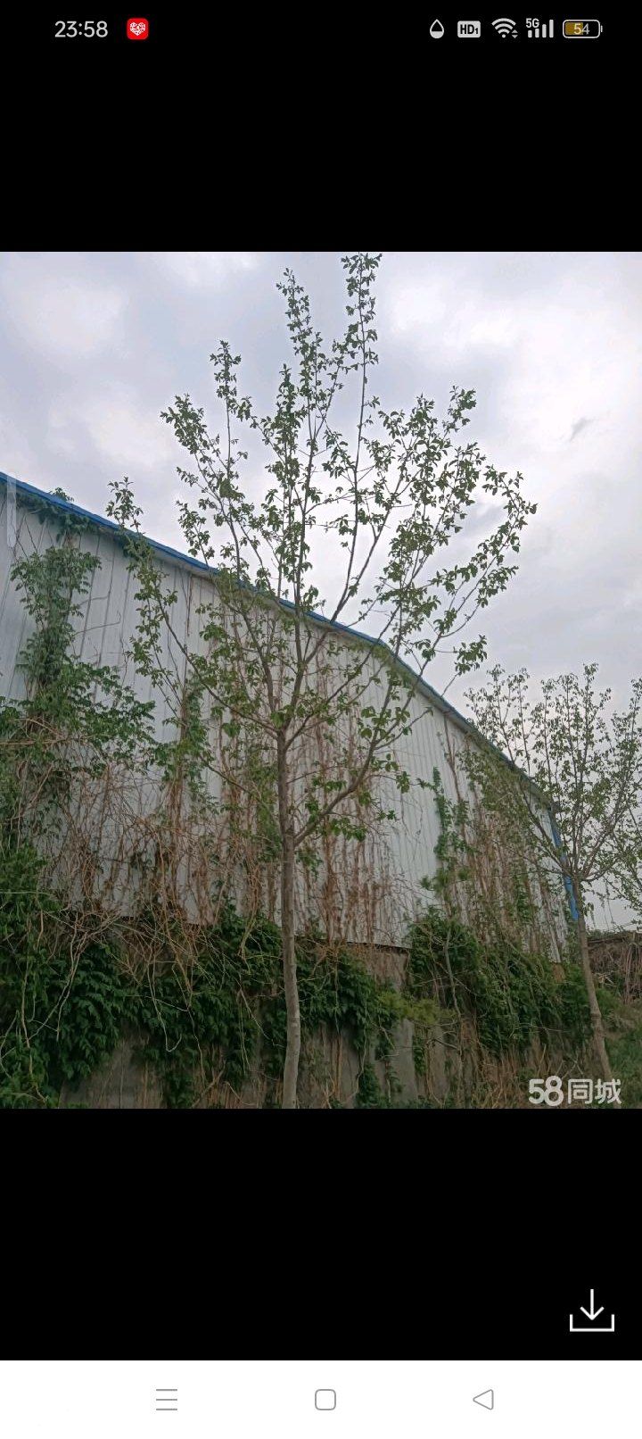 济南市莱芜区大院车间厂房土地出租