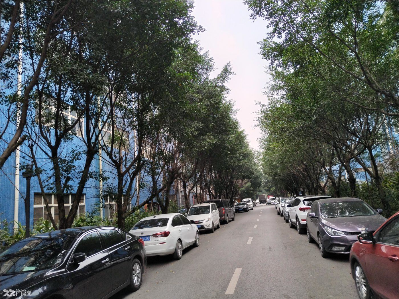 出售或出租重庆北港城工业园厂库房 海尔工业园旁(个人) - 2
