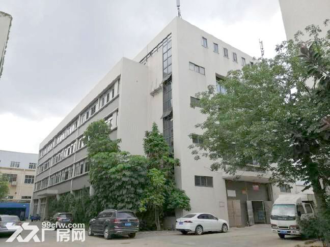 番禺化龙工业区独栋厂房出租6500方,可分租,原房东,形象好