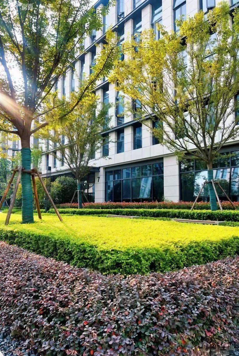 房东直租：安亭外冈交界市级104标准现房出租，无公摊7毛起，大张江政策 - 6