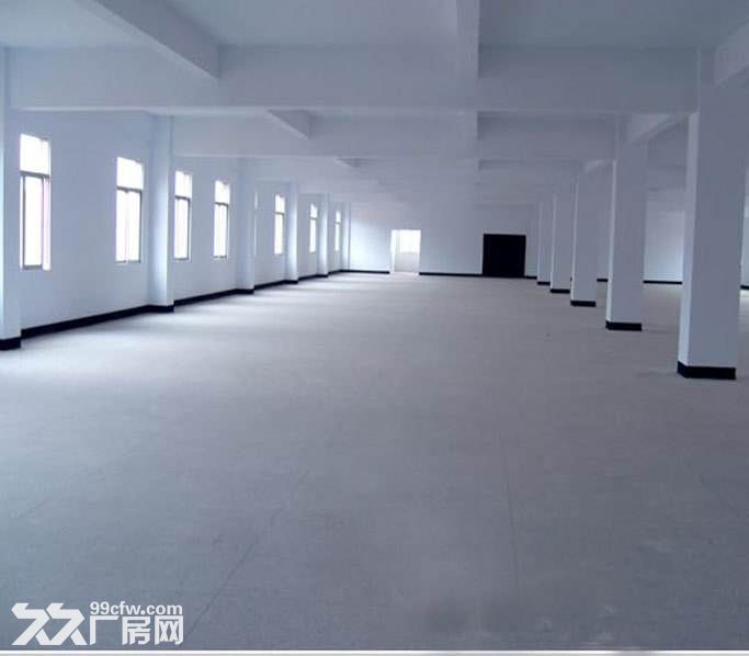 11.湖熟1到4楼7200平米新建独栋标准厂房1楼高8米环境好 - 7