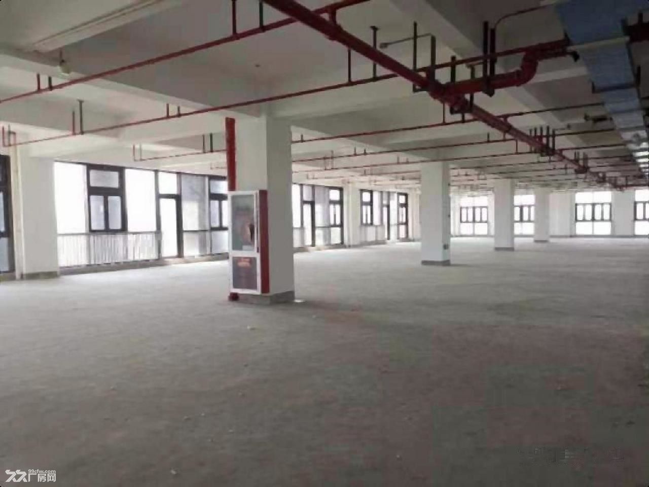 全新独栋地铁口办公楼带产业补贴可注册办公培训 展厅研发中心 - 8
