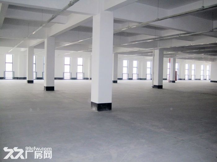 个人.双龙大道旁1到3楼5400平米独栋厂房招租 - 6
