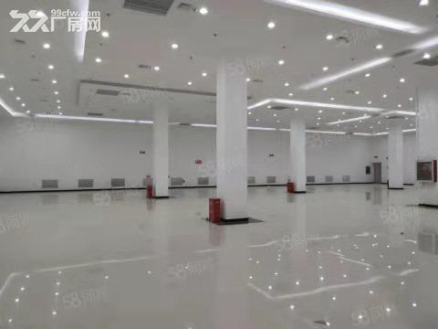 精装修。石家庄750平厂房租售 | 可分割 | 可环评 - 3