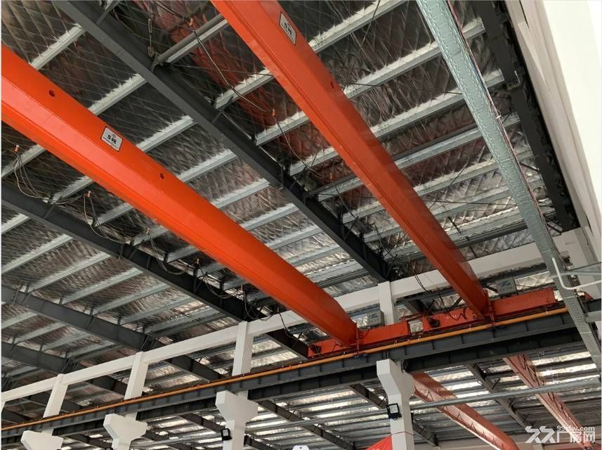 长三角示范区核心区,高品质独门独院13米层高 - 7