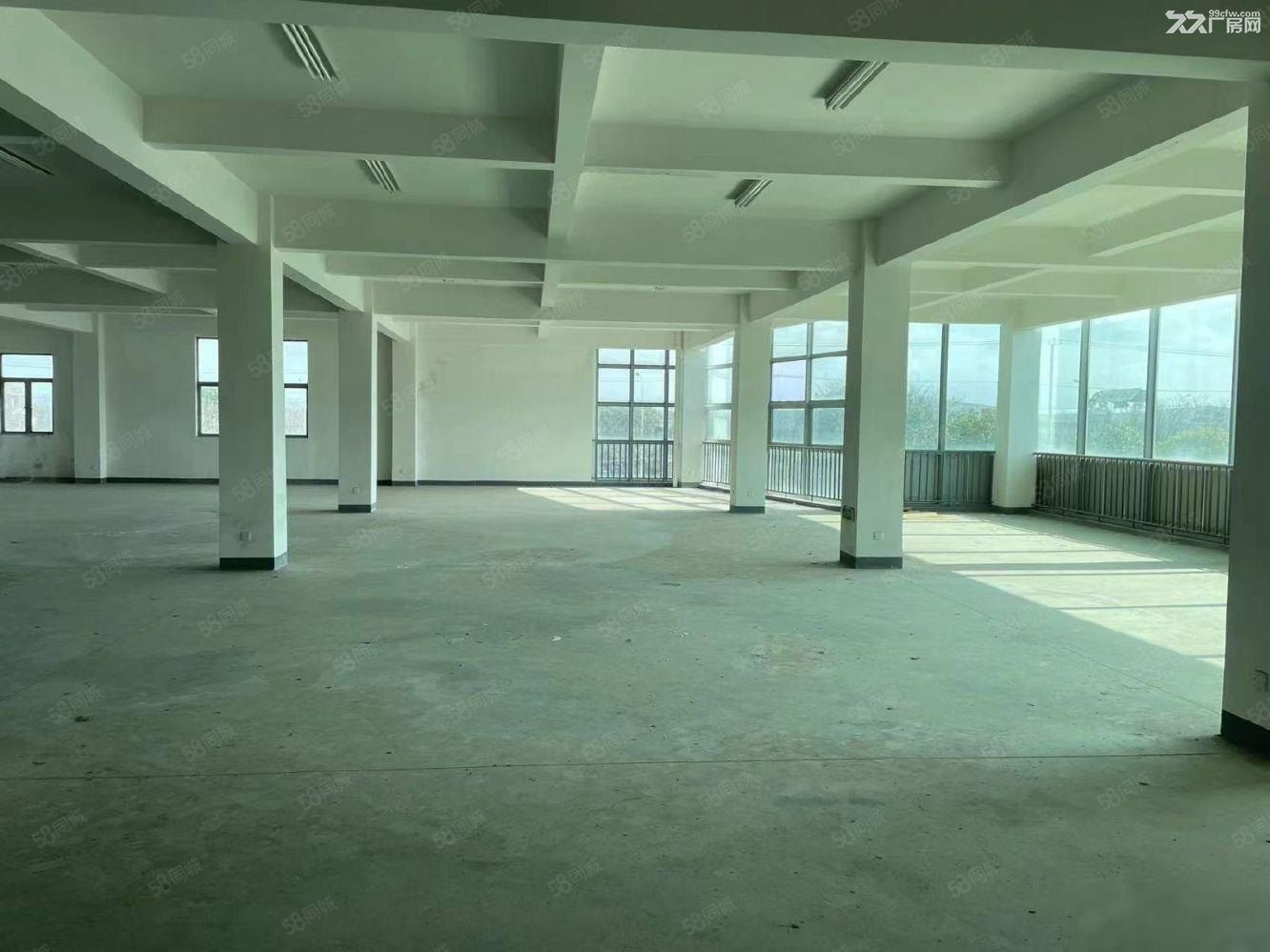 周浦104板块享张江政策 可环评可注册 配套齐全配地铁短驳车 - 2
