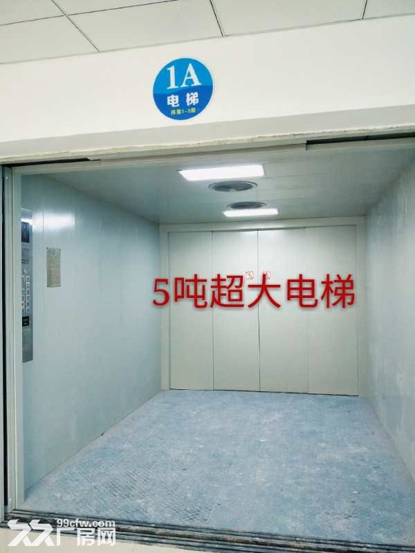 东莞市凤岗镇独门独院厂房出租2万平 可分租 - 3