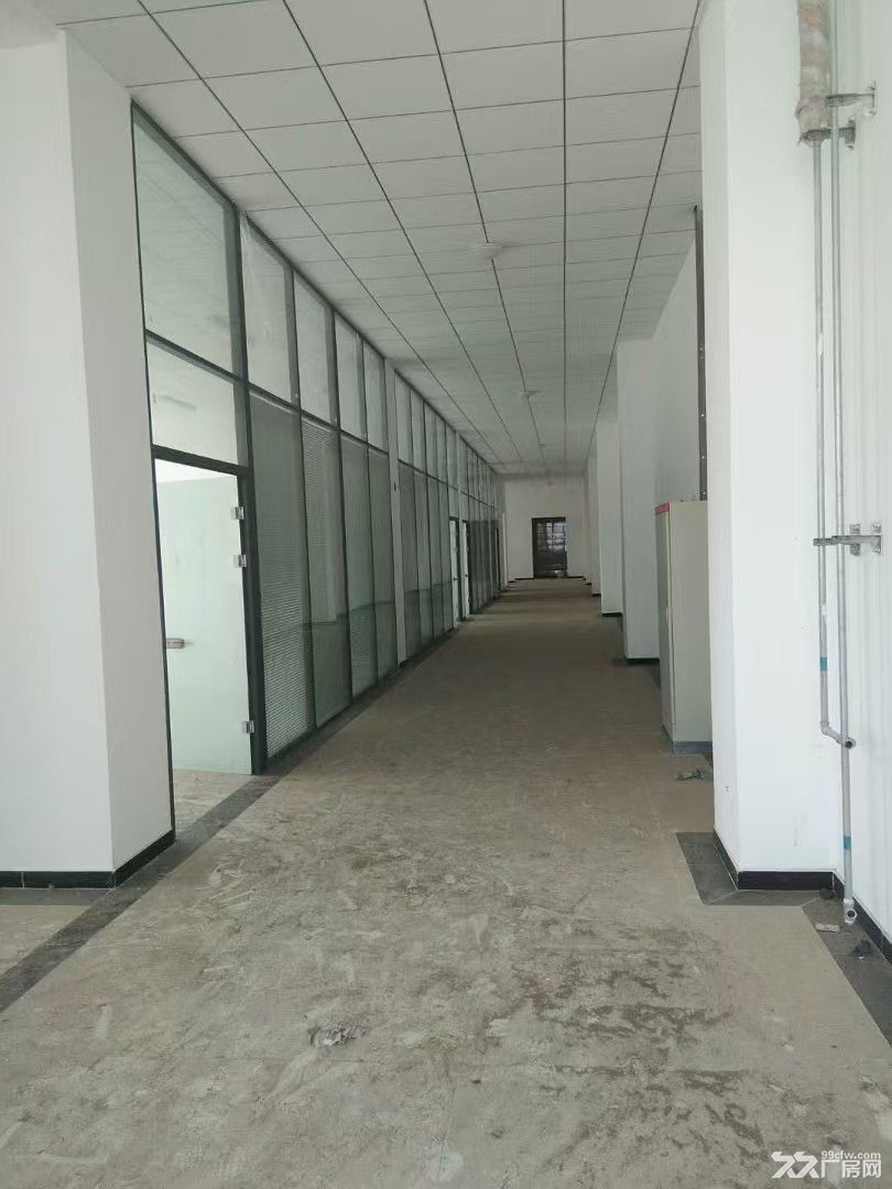 临港经济区淮河东道厂房出租 - 4