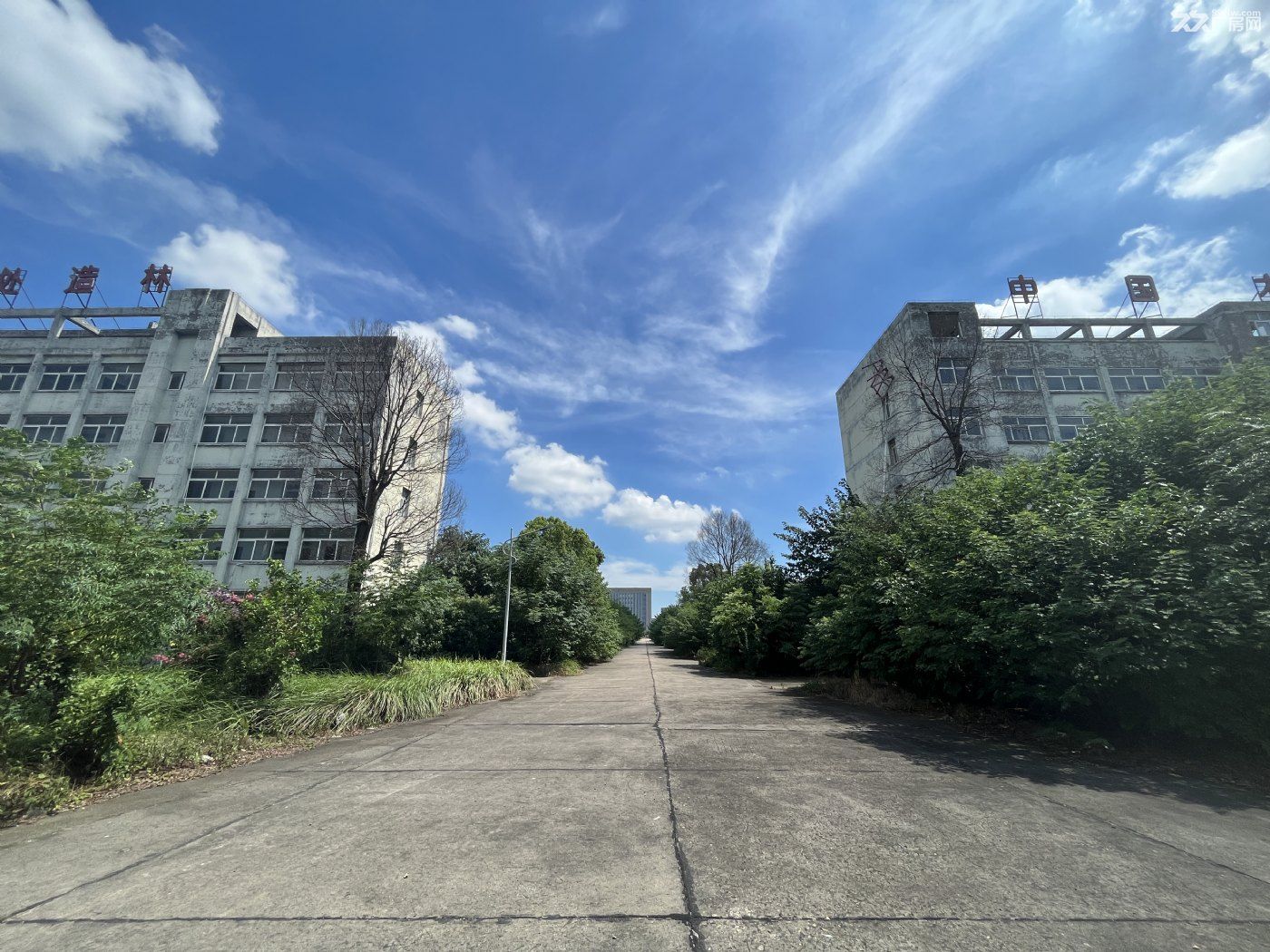 荆州公安 青吉工业园内28300㎡ 厂房出售 独院 有蒸汽 可环评 - 4