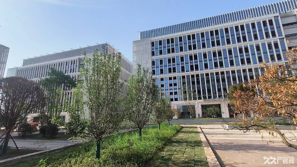 达州青网科技园全新厂房直租 - 7