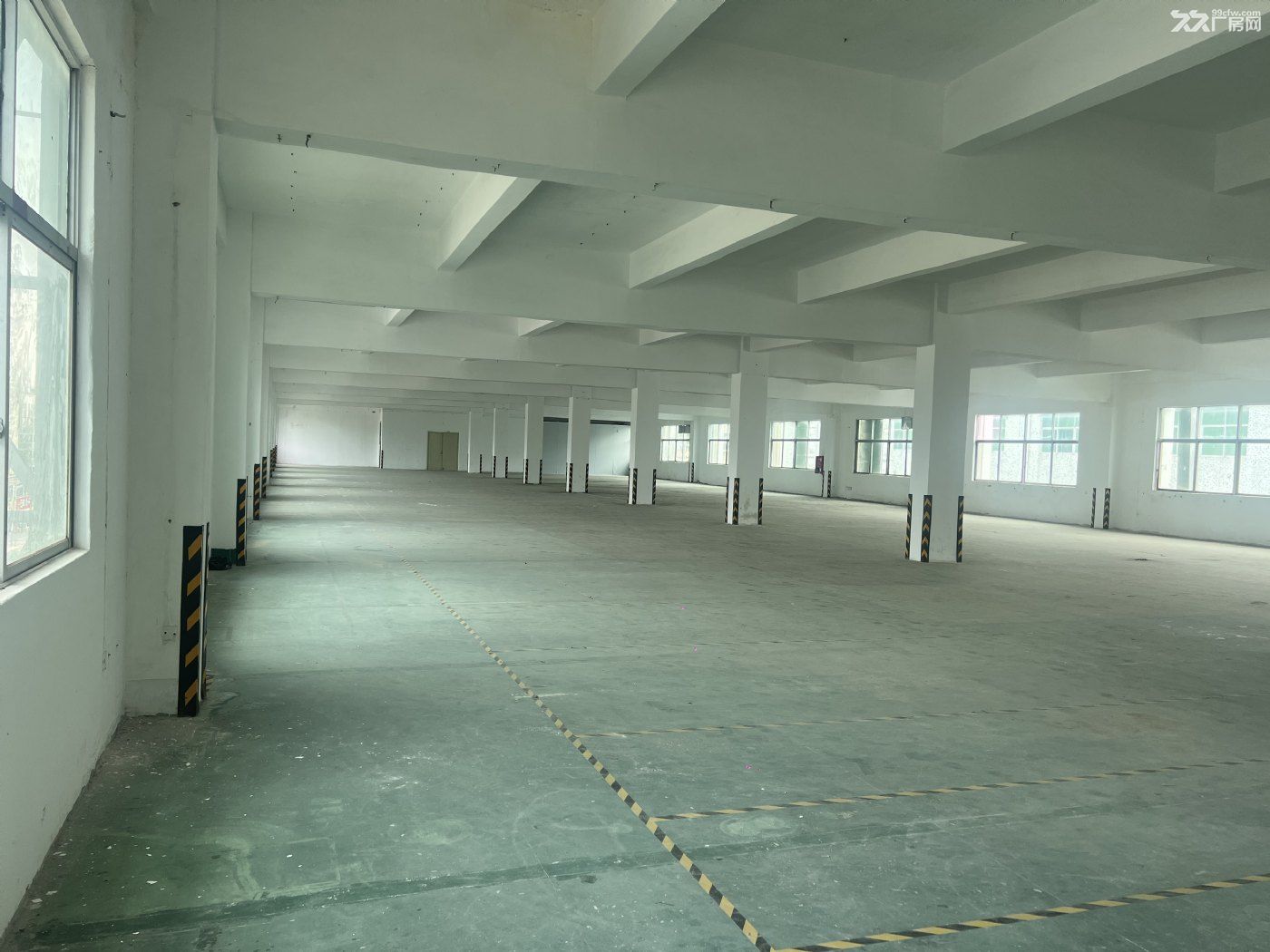 坪山区龙田街道竹坑社区第三工业区村集体厂房三四楼招租 - 5