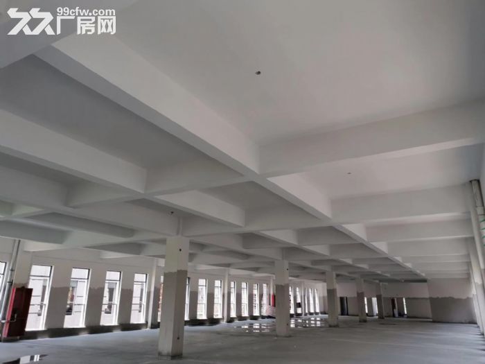 标准层高,双层户型,50年独立产权,精装交付 - 3