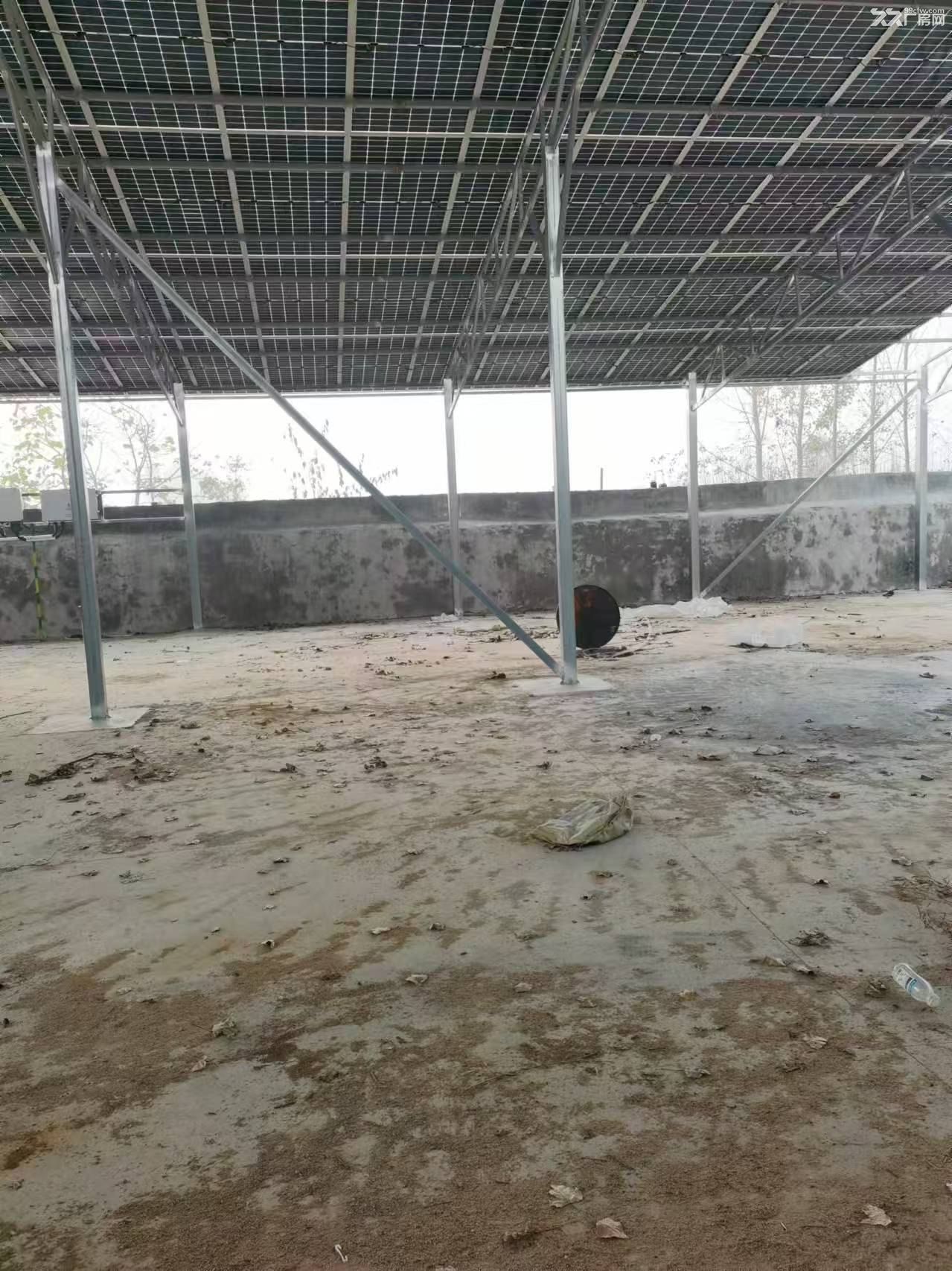 厂占地面积900平方面车间700多平方米，有独立变压器，有自来水，机井，交通方便 - 3