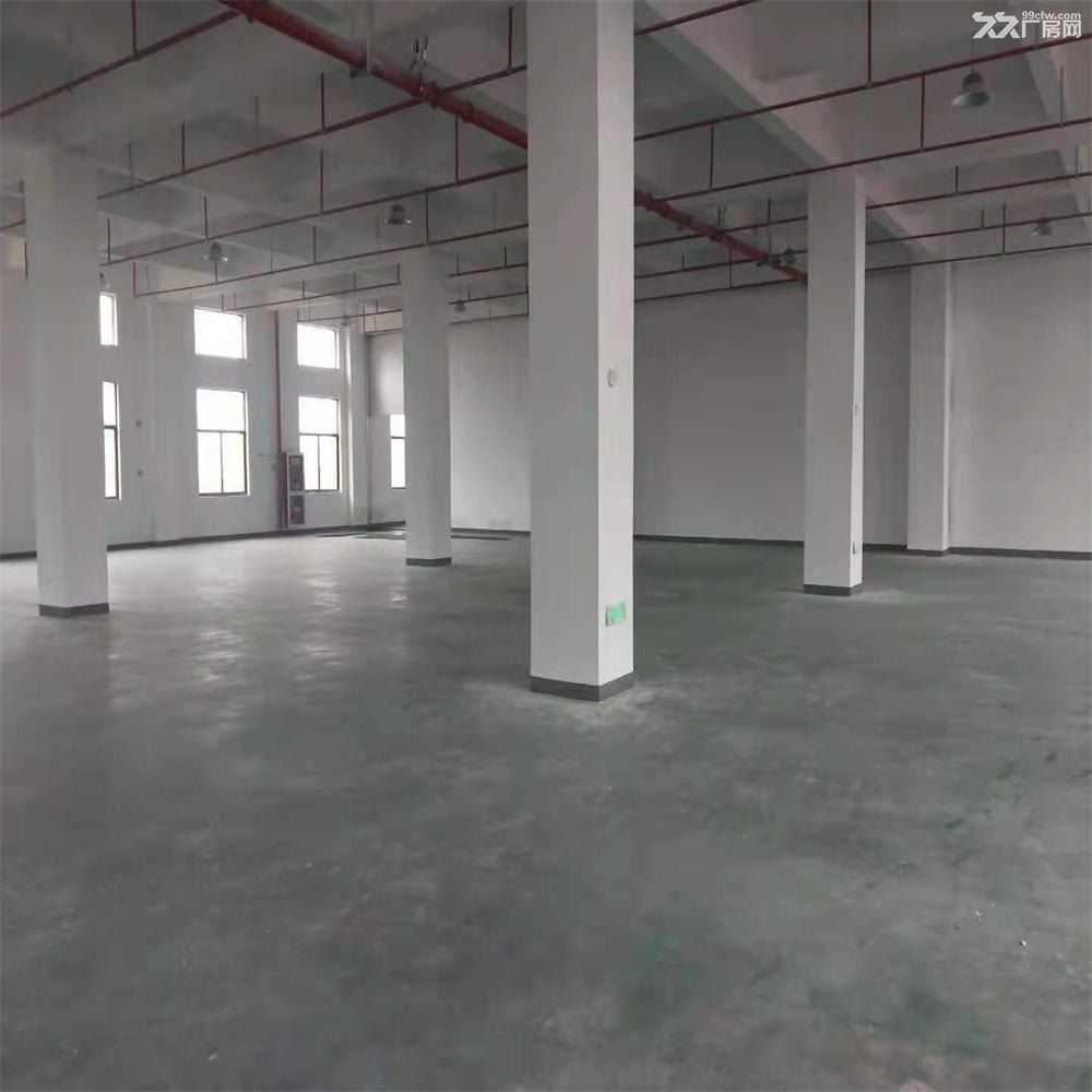 吴江开发区单层仓库800至2000平米10000平米 - 2
