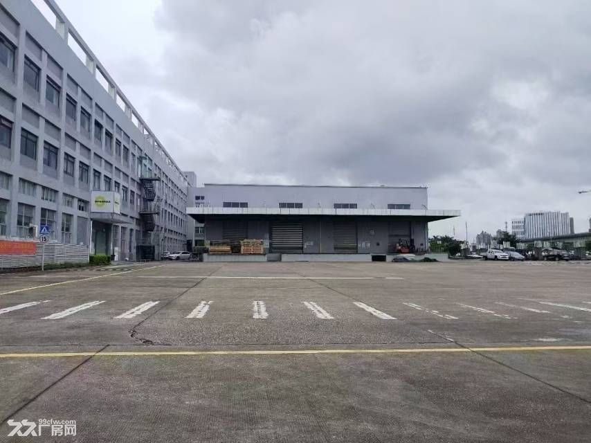 坪山石井独院8000平方出租空地大合同十年价格便宜 - 5