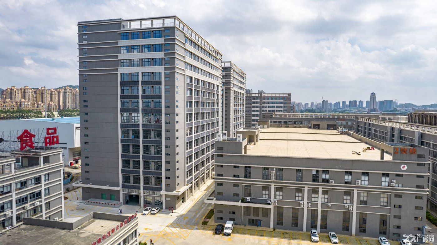 黄埔区性价比最高厂房出租 - 4